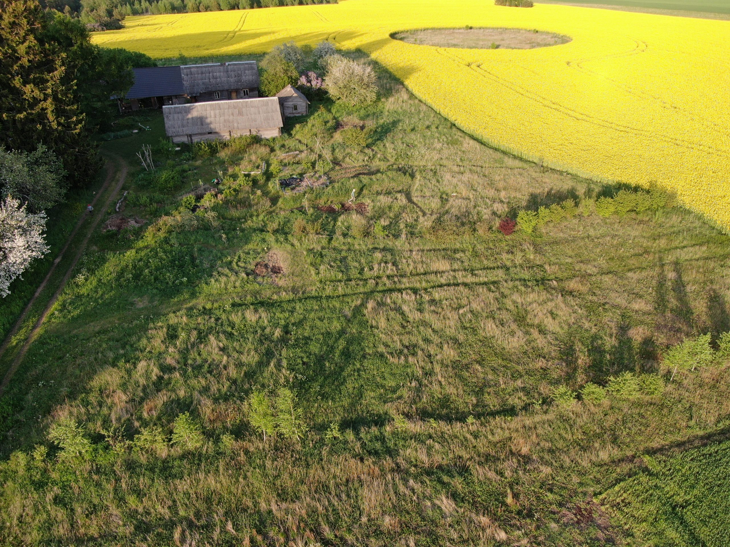 Mariani permakultuur