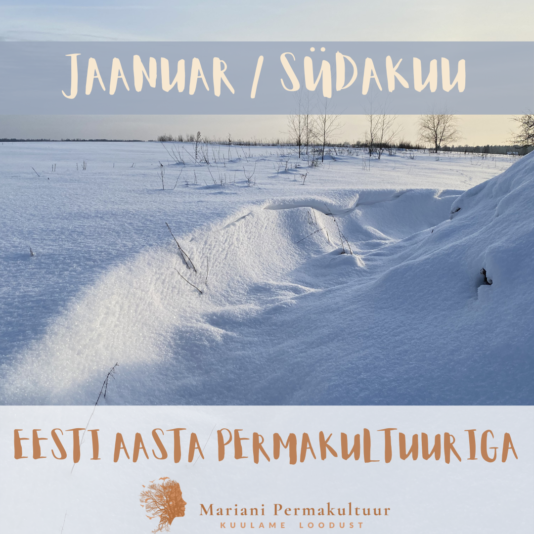 Eesti Aasta Permakultuuriga 12 “DISAIN”