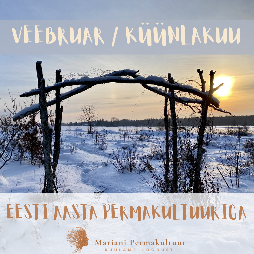 Eesti Aasta Permakultuuriga 1 “TAIMED”