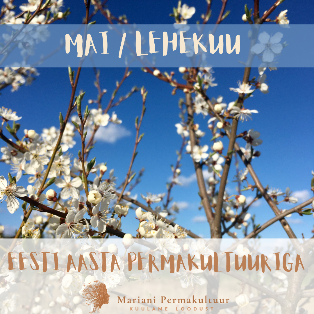 Eesti Aasta Permakultuuriga 4 “MULD”